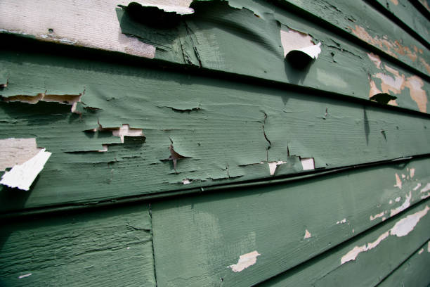 Best Garage Cleanout  in Lake Winnebago, MO