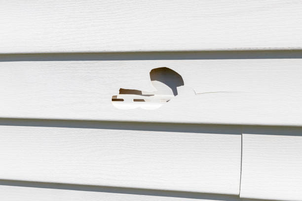 Best Same-Day Junk Removal Services  in Lake Winnebago, MO